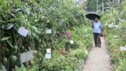 বৃক্ষমেলা ২০১৭