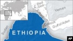 Ethiopia's villagization program comes under fire from Human Rights Watch