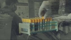 لویه پښتونخوا په ټي وي
