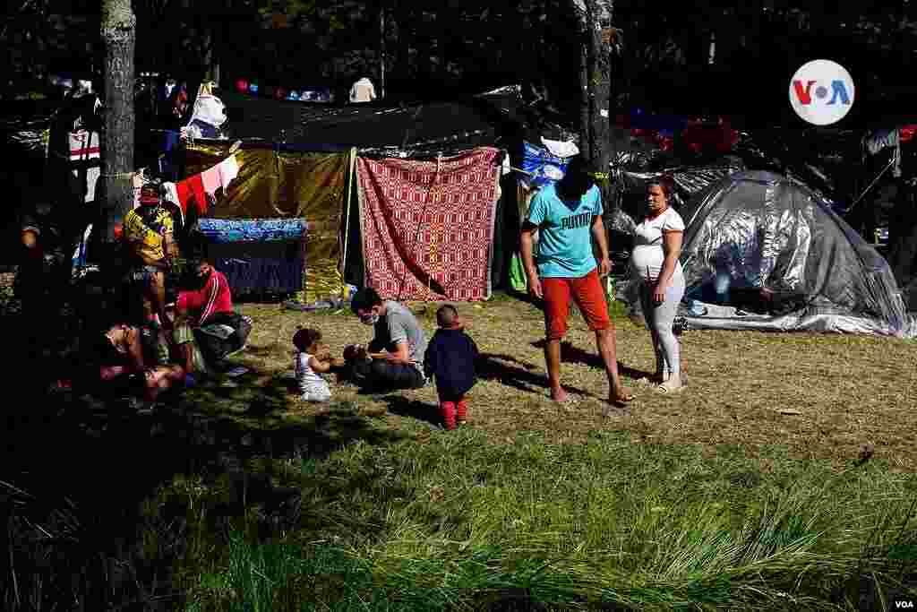 Migrantes venezolanos han armado &quot;cambuches&quot; (chozas) para descansar y reguardarse del sol y la lluvia.