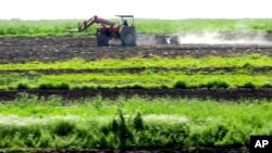 FILE - A farmer drives a tractor in his field in Castel Di Guido, near Rome, Italy, April 23, 2018. To fight a declining birthrate, the Italian government is now offering free farmland to families who have a third child.