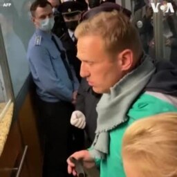 Navalny detido em Moscoco