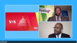 Livetalk: On the Diaspora Forum we are talking about COVID-19 and other issue