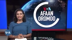 Tamsaasa Guyaadhaa Guyyaa