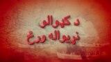 بي بي شیرینه – په ټیلې ویژن