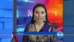 နေ့စဉ် တီဗွီသတင်းလွှာ (၁၀-၀၂-၂၀၂၀)