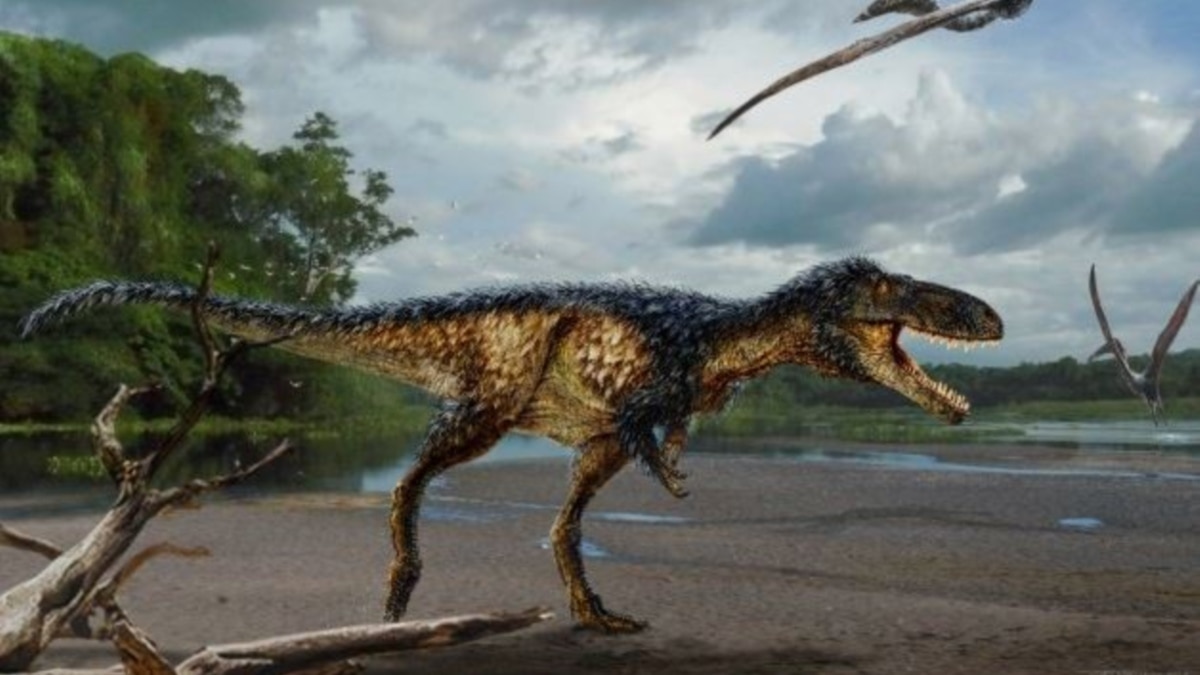 T. Rex Wasn't All Brawn. It Had a Brain Comparable to a Primate