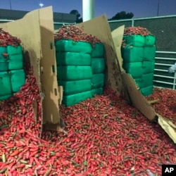 Marijuana Seized Jalapeno Peppers