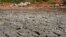 FILE - A devastating drought sweeps across Texas, turning rivers into sand, creeks into mud and lakes into large puddles, The bottom of the pond at the the Gene Howe Wildlife Management Area is  nearly dried up  in Amarillo, Texas.  