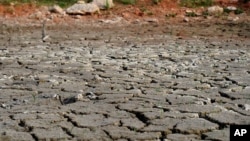 FILE - A devastating drought sweeps across Texas, turning rivers into sand, creeks into mud and lakes into large puddles, The bottom of the pond at the the Gene Howe Wildlife Management Area is nearly dried up in Amarillo, Texas. 