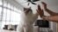 Sunny gives treats to her Ragdoll cat, Mooncake, in her Housing and Development Board flat in Singapore, Dec. 19, 2023.