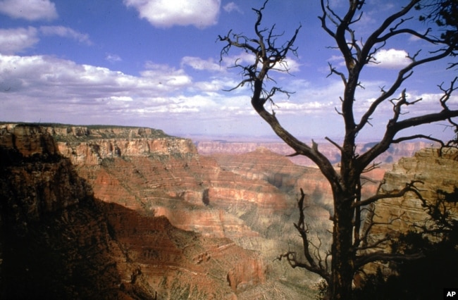 Grand Canyon, Arizona