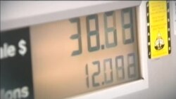 اخبار شامگاهی