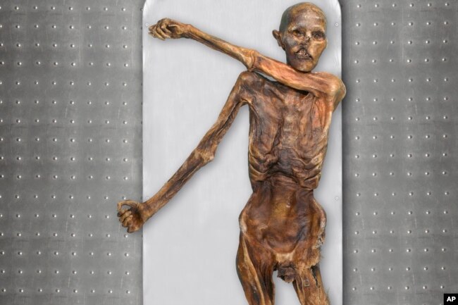 Çalışma Ötzi'nin koyu ten rengine, koyu renk gözlere ve açık alın bölgesine sahip olduğunu ortaya çıkardı.