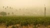 九月10日加州葡萄園面對野火肆虐下的煙霧彌漫情景。