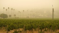 FILE - In this Sept. 10, 2020, file photo, smoke and haze from wildfires hovers over a vineyard in Sonoma, California.