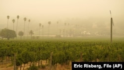 九月10日加州葡萄園面對野火肆虐下的煙霧彌漫情景。
