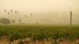 FILE - In this Sept. 10, 2020, file photo, smoke and haze from wildfires hovers over a vineyard in Sonoma, California.