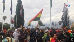 Bolivianos salieron a las calles para celebrar la renuncia de Evo Morales.