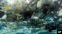 Sampah yang memenuhi pantai Hanauma, Hawaii.