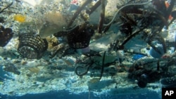 Sampah yang mengapung di Laut Hanauma, Hawaii.