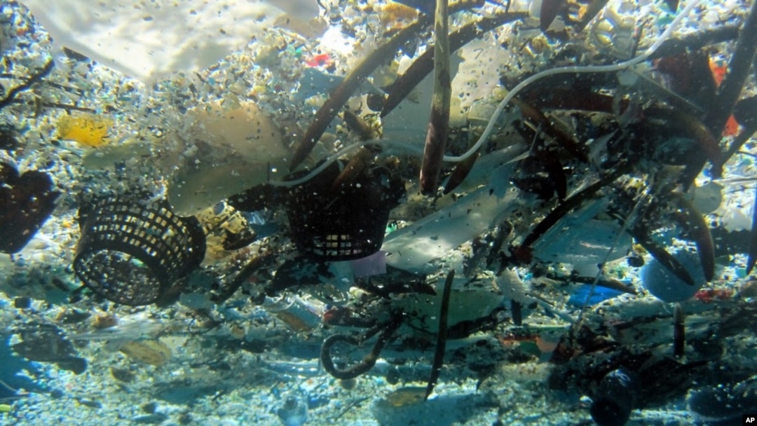 Sampah di Pantai Hanauma, Hawaii.