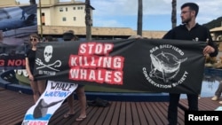 Activists attend a protest during the International Whaling Commission (IWC) conference in Florianopolis, Brazil, Sept. 10, 2018.