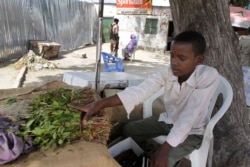 FILE - In this photo taken July 12, 2012 Isaq Abdi sits beside bundles of khat which he sells for his employer in Mogadishu, Somalia.