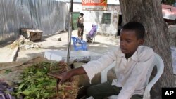 FILE - A youth sits beside bundles of khat that he sells for his employer in Mogadishu, Somalia, July 12, 2012.