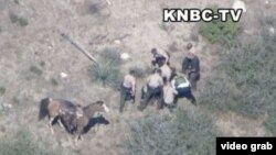 Oficiales rodean y golpean a un fugitivo en las montañas de San Bernardino. El video fue captado por el canal de noticias KNBC-TV.