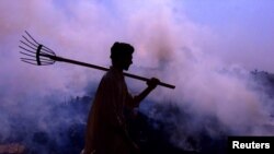 FILE - An Indian farmer walks through his paddy field as he burns the paddy husk in the northern Indian city of Chandigarh, Oct. 21, 2003. 