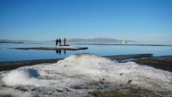 In this undated photo provided by the Utah Division of Parks and Recreation, are rare salt formations that are being are being documented for the first time along the shores of the Great Salt Lake in Utah.