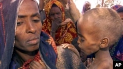 A woman holds a malnourished child at a camp in the town of Danan, some 600 kilometers South East of Addis Ababa (undated photo)