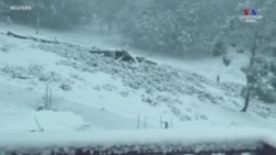 Ավստրալիայի գյուղացիական տնտեսությունները ձյունով են ծածկվել բևեռային փոթորկի պատճառով