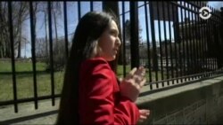 Настоящее Время. Америка – 19 апреля 2017