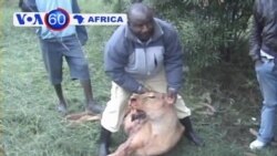 VOA60 Africa