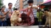 'Lễ hội thịt cầy' bị lên án ở Trung Quốc