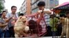 Rights Groups Criticize Use of Dog Skin in China