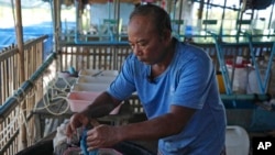 FILE - Eel farm owner Em Phat, 53, works in Tonle Sap complex, north of Phnom Penh Cambodia, July 31, 2024.