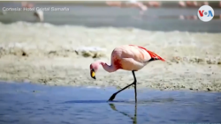 Preocupación en Bolivia por las afectaciones a la atracción turística del Salar de Uyuni