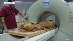 3000 Yıllık Mumyaya Bilgisayarlı Tomografi