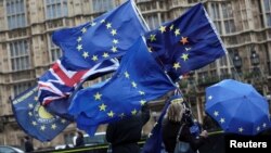 Anti-Brexit protesters demonstrate outside the Houses of Parliament in London, Britain, Dec. 13, 2017. 