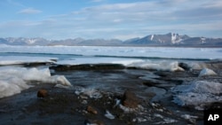 Вид одного из островов у побнрежья Гренландии (архивное фото) 
