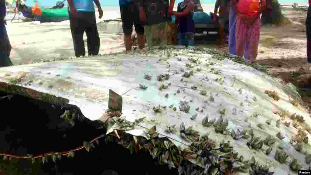A large piece of curved metal with barnacles attached washed ashore in Nakhon Si Thammarat province, Tanyapat Patthikongpan, Jan. 24, 2016.