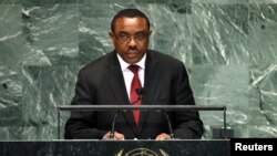 Ethiopia's Prime Minister Hailemariam Desalegn says African leaders should have ICC immunity. (Reuters/Keith Bedford)