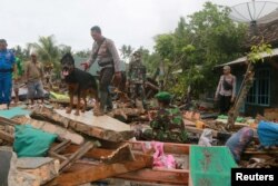 Rescue workers use a dog to search for victims, Dec. 25, 2018, among debris scattered by the tsunami that hit Sunda Strait at Rajabasa in South Lampung, Indonesia.