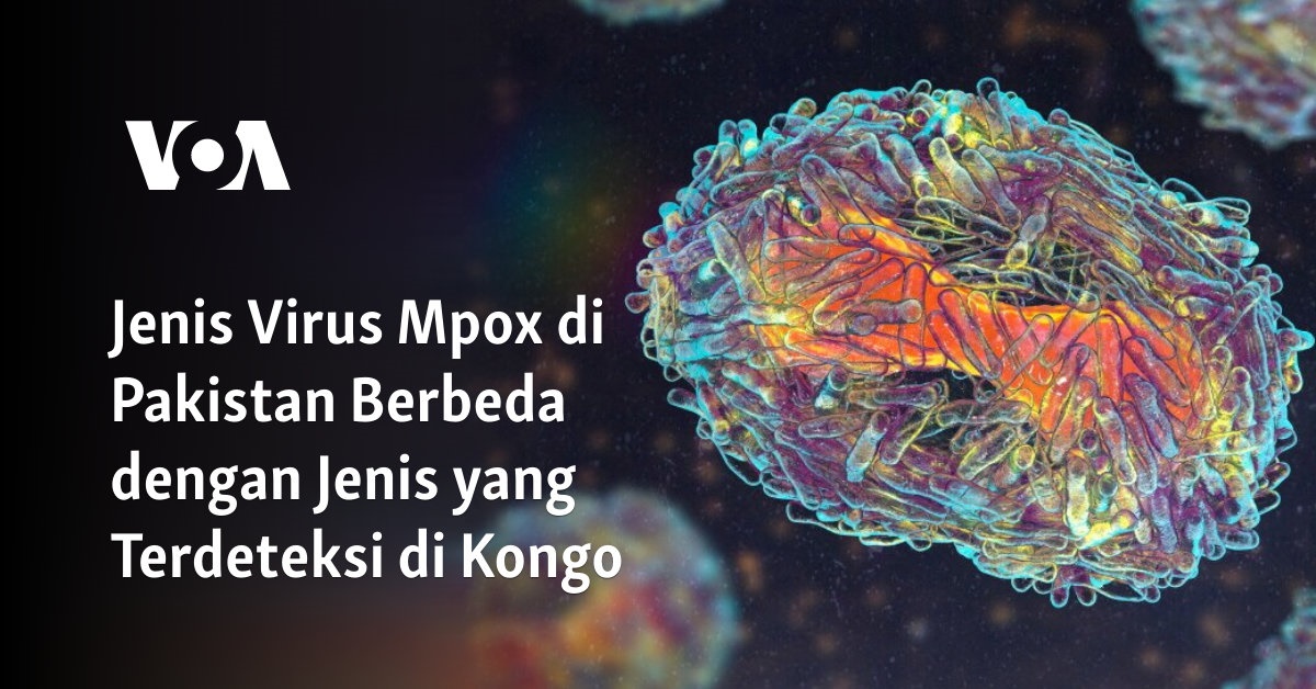Jenis Virus Mpox di Pakistan Berbeda dengan Jenis yang Terdeteksi di Kongo