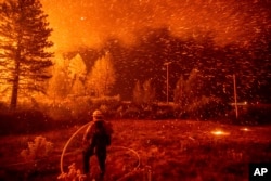 지난 9월 미국 캘리포니아주 섀터-트리니티 국유림에 산불이 발생했다.