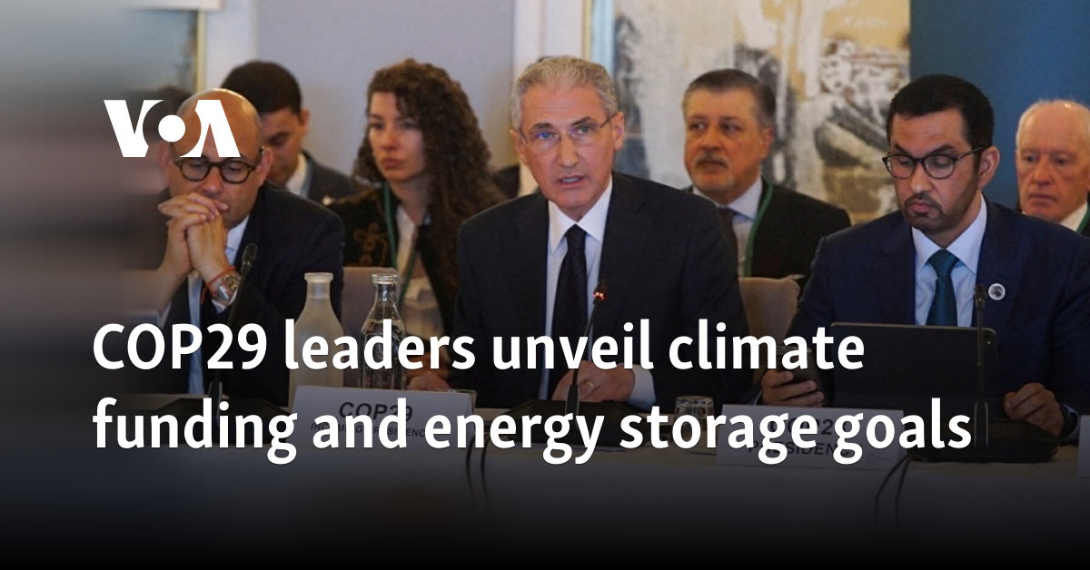 COP29 leaders unveil climate funding and energy storage goals