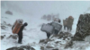 تصویری از چند کولبر در کوهستان‌های پوشیده از برف کردستان (آرشیو)